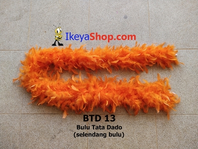 BTD 13  large2